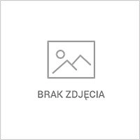 Rower 24koła