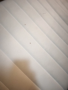 Materac valevåg 80x200 średnio twardy