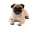 Zwierzęta
