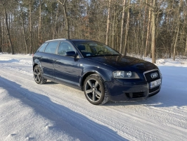 Audi A3 1,6 Benzyna 2005r. Zadbany Tanio-Możliwa Zamiana!