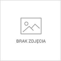 Prace zbrojarskie - wsparcie budowy - Trójmiasto od zaraz
